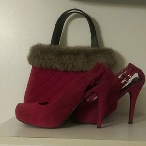 Purse an Shoe Set